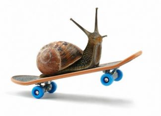 Uspete rešiti to polžjo uganko? 🐌 polzja uganka - Zabava za vsak dan