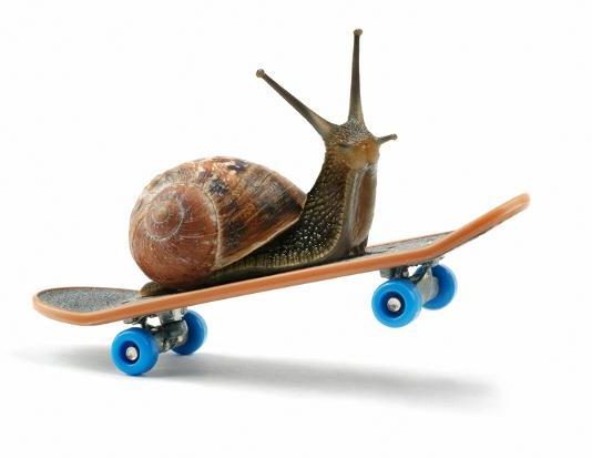 Uspete rešiti to polžjo uganko? 🐌