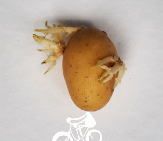 Karantena umetnost: KROMPIR 🥔