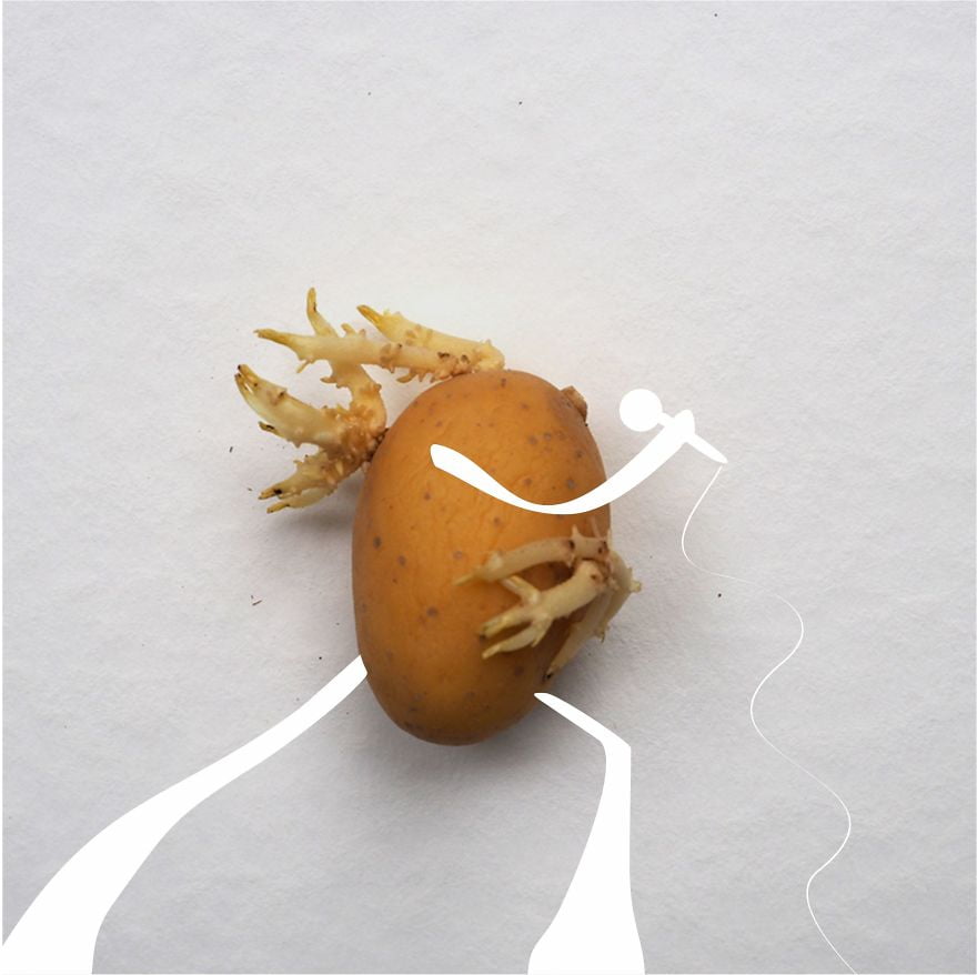 krompir1 - Karantena umetnost: KROMPIR 🥔