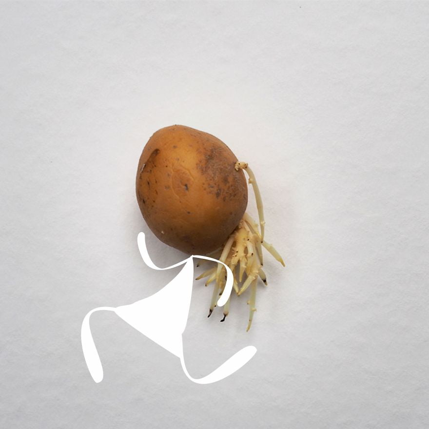 krompir5 - Karantena umetnost: KROMPIR 🥔