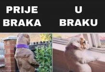 Moški pred poroko in po poroki 🤪. Je to res?