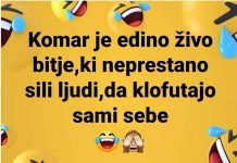 Čista resnica … in nadležna 🤣