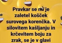 Pazljivo pri dietah, nikoli ne veste, kaj se vam lahko zgodi 🥕😂