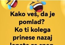 Kako veš, da je že pomlad?