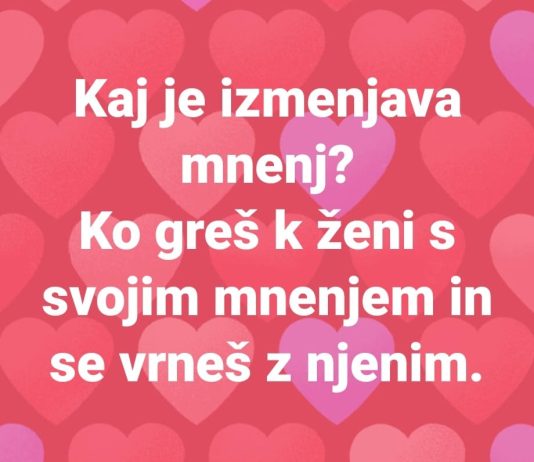 Kaj je izmenjava mnenj? 🙈