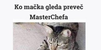 mačka-masterchef