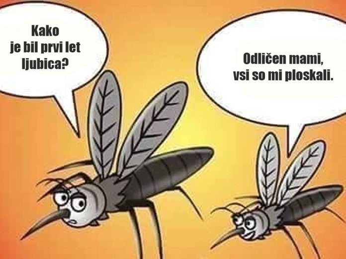 prvi-let-komarja