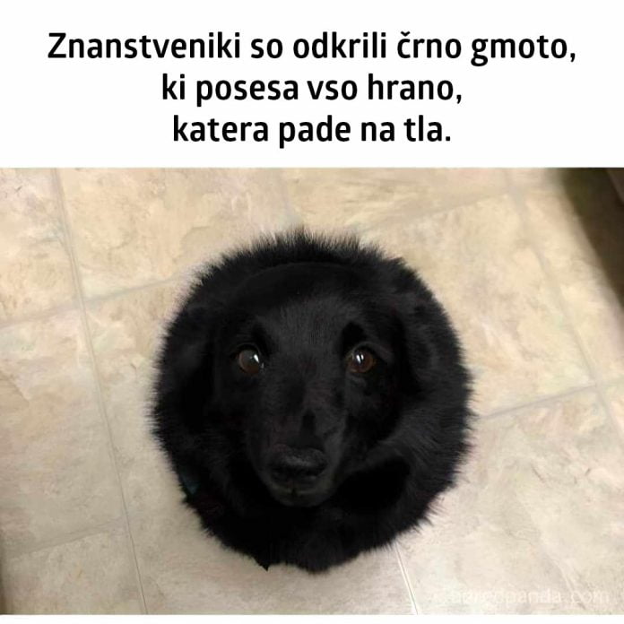 črna-gmota