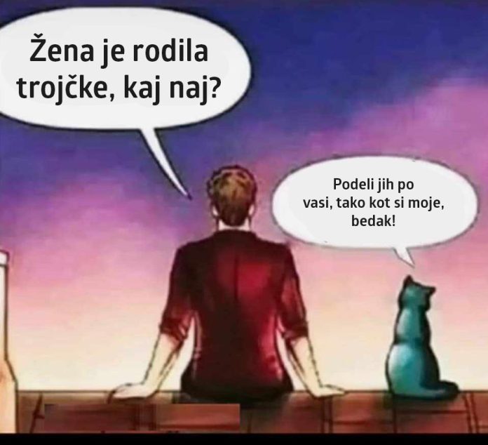 mačji-nasvet