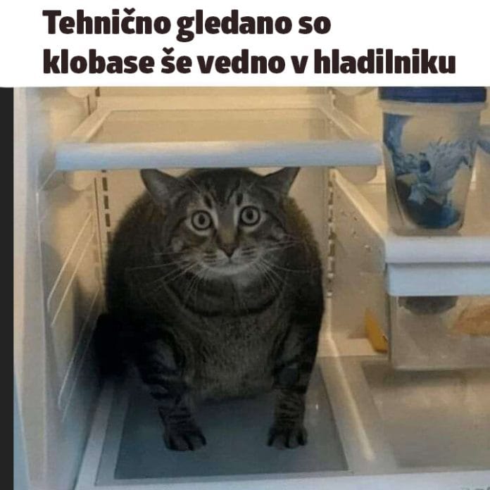 maček