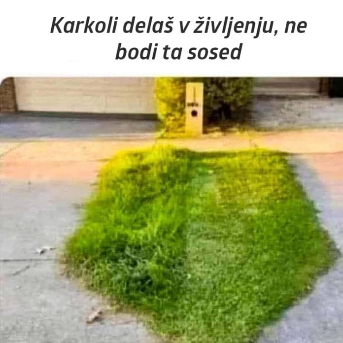 sosed