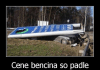 cene bencina