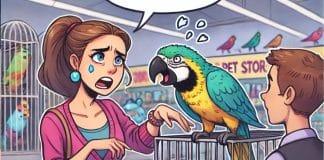 pet-shop