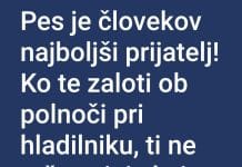 pes človekov najboljši prijatelj