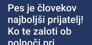 pes človekov najboljši prijatelj