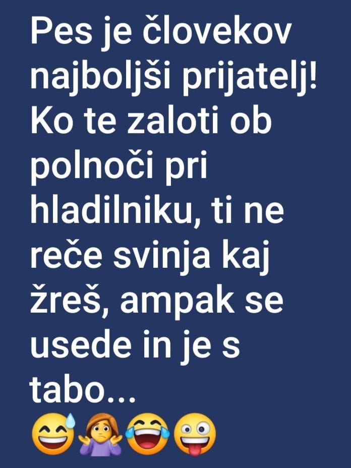 pes človekov najboljši prijatelj