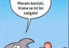 smešen-morski-pes