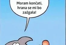 smešen-morski-pes