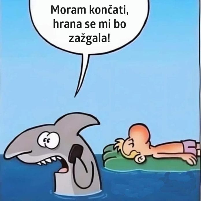 smešen-morski-pes