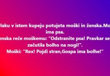 gospa z bolhami