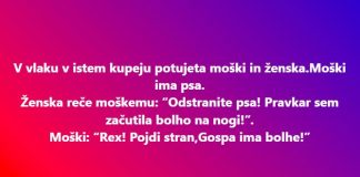 gospa z bolhami