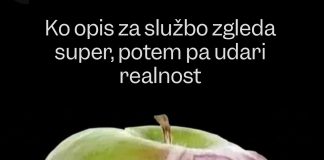 opis-za-službo