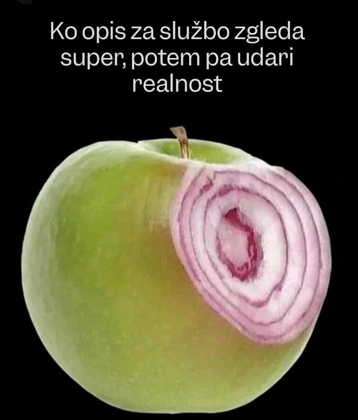 opis-za-službo