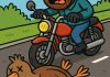 Motorist zbije ptico med vožnjo