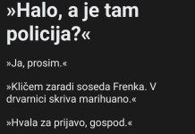 policija