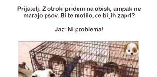 zaprt-pes