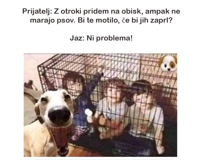zaprt-pes